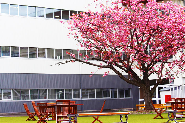 北海学園札幌高校ヘルメット 制服紹介 | 学校紹介 | 北海学園札幌高等学校 HOKKAIGAKUEN