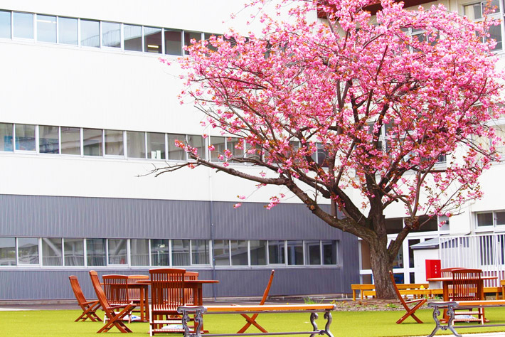 北海学園札幌高等学校 HOKKAIGAKUEN SAPPORO HIGH SCHOOL